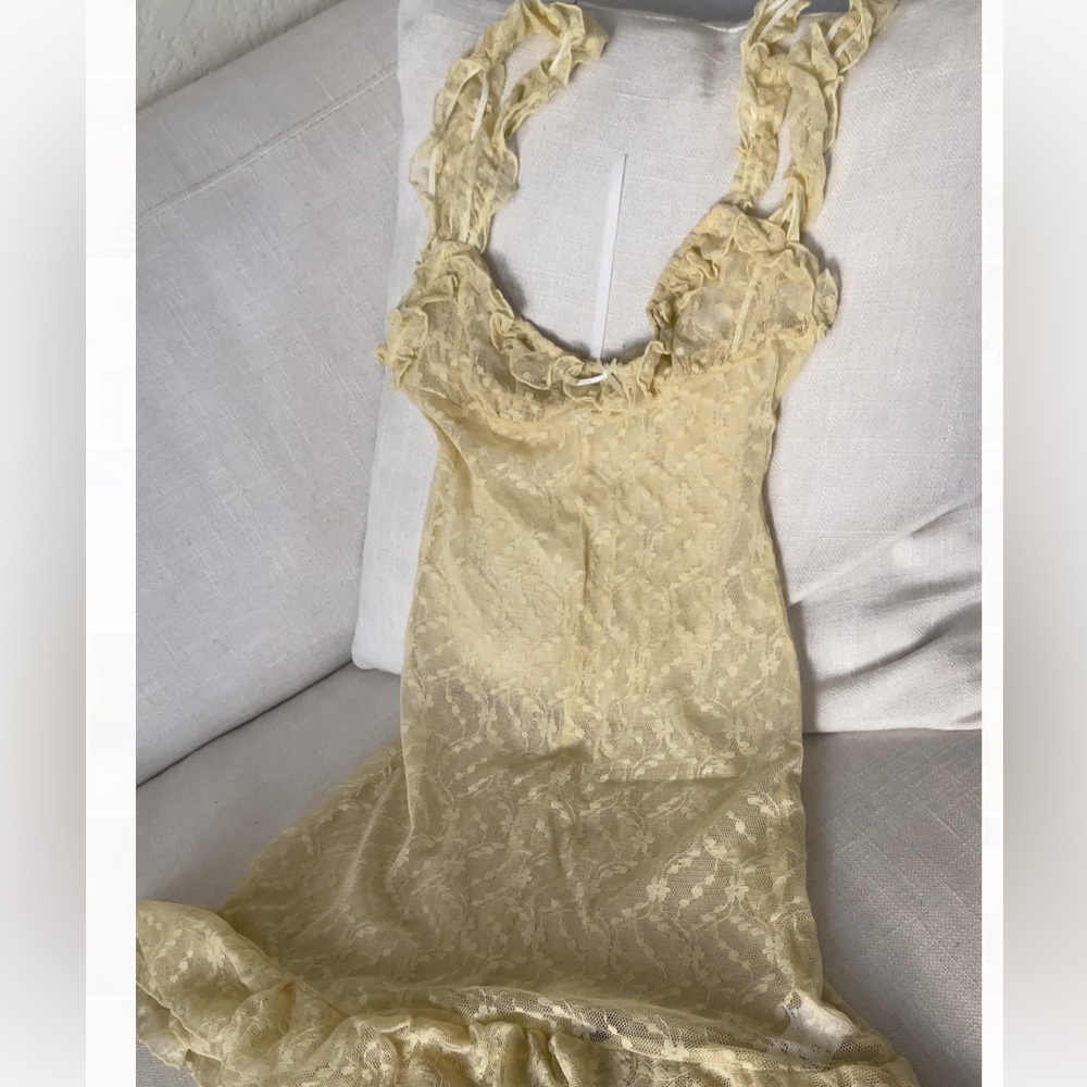 Are You Am I Nude Lace Elea Dress